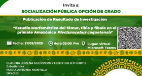 Socialización pública opción de grado
